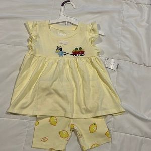 Bluey toddler too and shorts